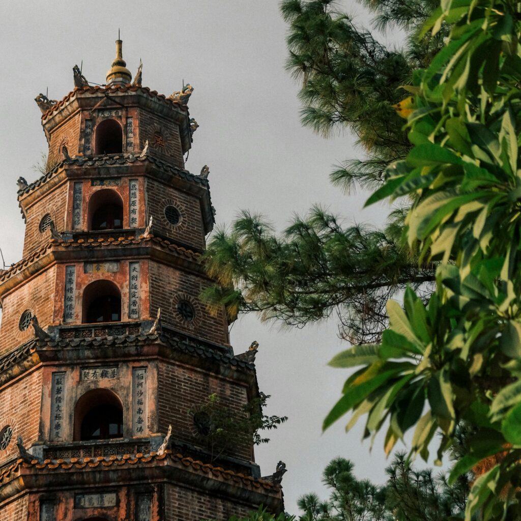 pexels-d-ng-nhan-324384-3155276