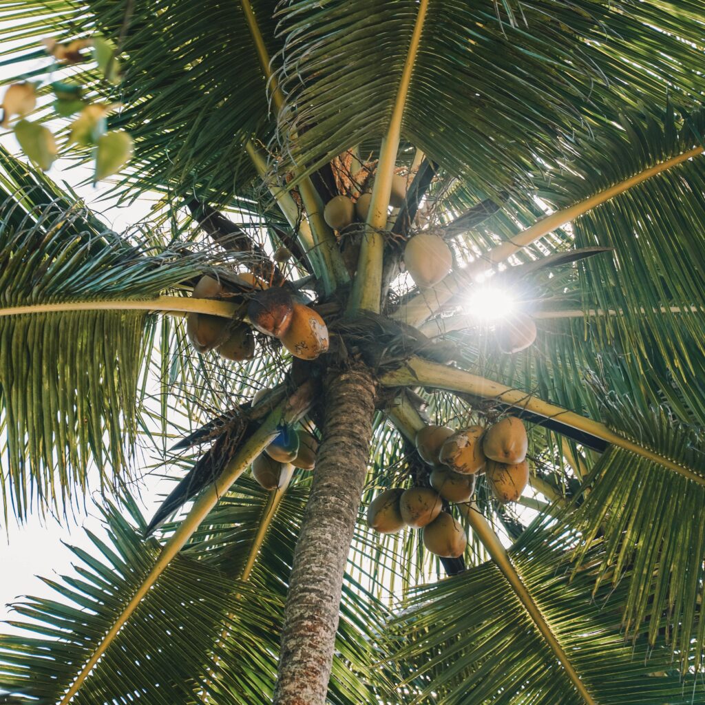 pexels-esrageziyor-45760220-11495862