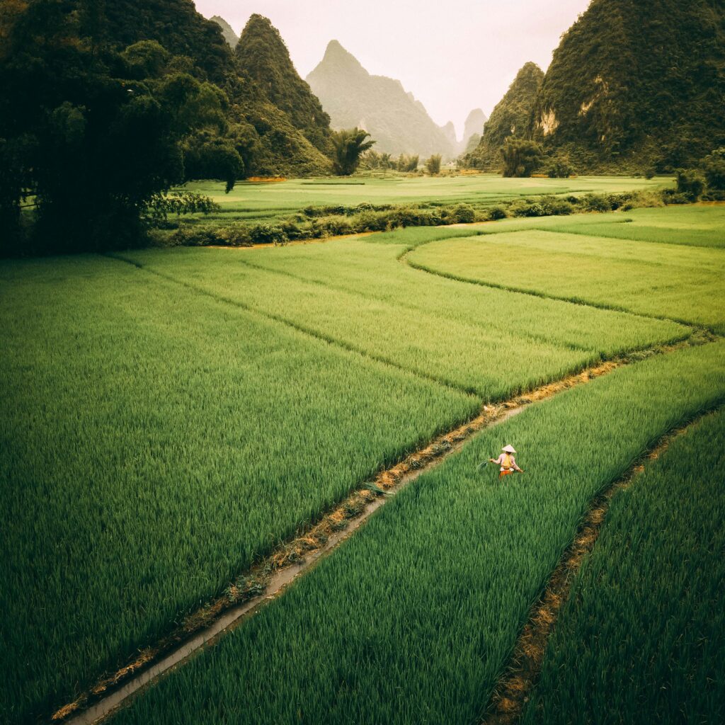 pexels-taryn-elliott-4253927